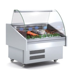 Vitrine réfrigérée professionnelle pour poissons et fruits de mer