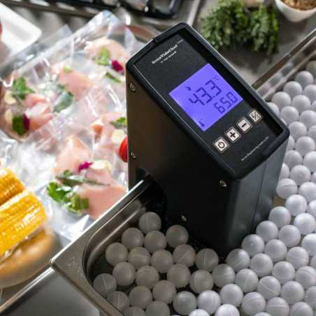 Roner Sous Vide Professional Immersion Thermostat with Circulator for Vacuum Cooking