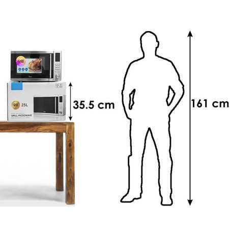 micro-ondes professionnel