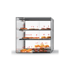 Vitrines neutres à poser SAYL Vision