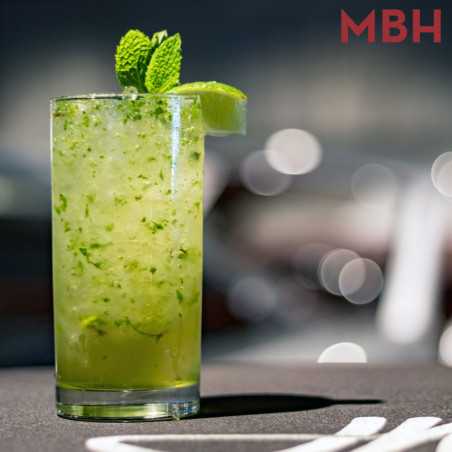 Commercial stainless steel ice crusher TR5