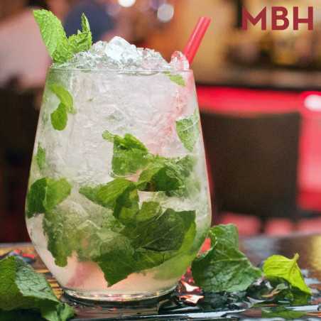 Broyeur à glaçons professionnel inox