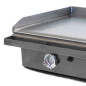 Professional industrial gas griddle 80 with stove Professional industrial gas griddle 80 with stove