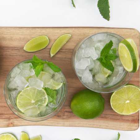 Máquina de hielo nugget BREMA 140 sin almacén