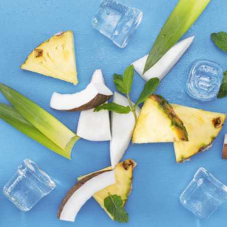 Professional ice machine BREMA ICE CUBE 22