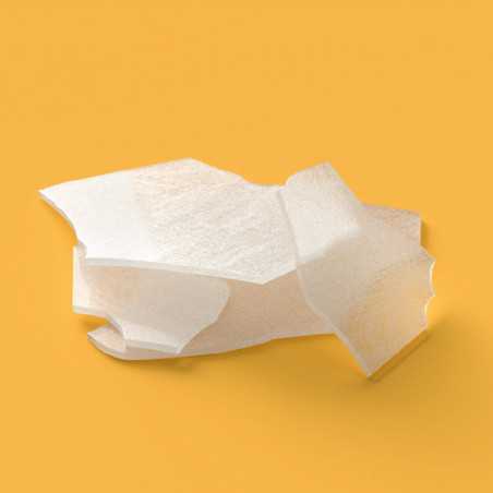 Machine à glace écaille BREMA MUSTER 250