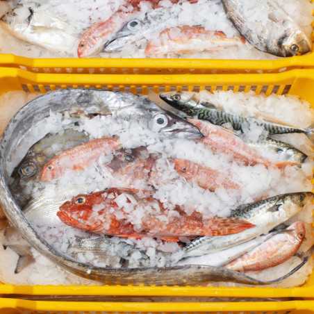 Máquina de hielo de escamas BREMA MUSTER 600