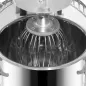Pastadora batedora planetària professional de 30 litres, 3 velocitats i reixeta protectora Pastadora batedora planetària professional de 30 litres, 3 velocitats i reixeta protectora