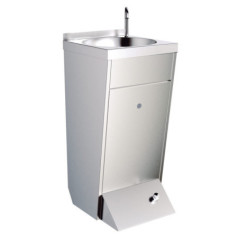 Professional Free-Standing Stainless Steel Sink with Faucet, Swivel Spout, and Push Button