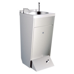 Professional Free-Standing Stainless Steel Sink with Faucet, Swivel Spout, Push Button, and Soap Dispenser