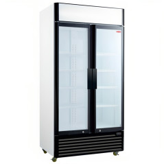 Refrigerated display cabinet 800 liters with 2 hinged doors