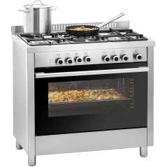 Cocina industrial a gas de 5 fuegos con horno eléctrico