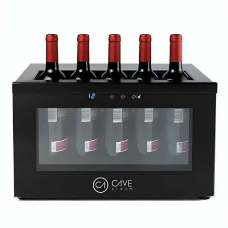 Small professional wine cellar