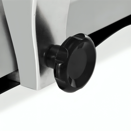 Cortadora de fiambres profesional cuchilla 250 mm