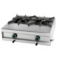 High power professional gas burner with 2 rings