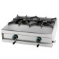 High power professional gas burner with 2 rings