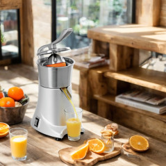 Presse-agrumes électrique professionnel en acier inoxydable