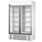 Réfrigérateur vitrine professionnel renforcé de 1012 L, avec deux portes.