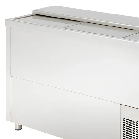 Boteller frigorífic professional de 580 L amb 4 portes, 2 m