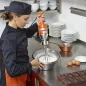 Professional Junior 270 W Whisk Mixer for 1 to 5 Litre Preparations