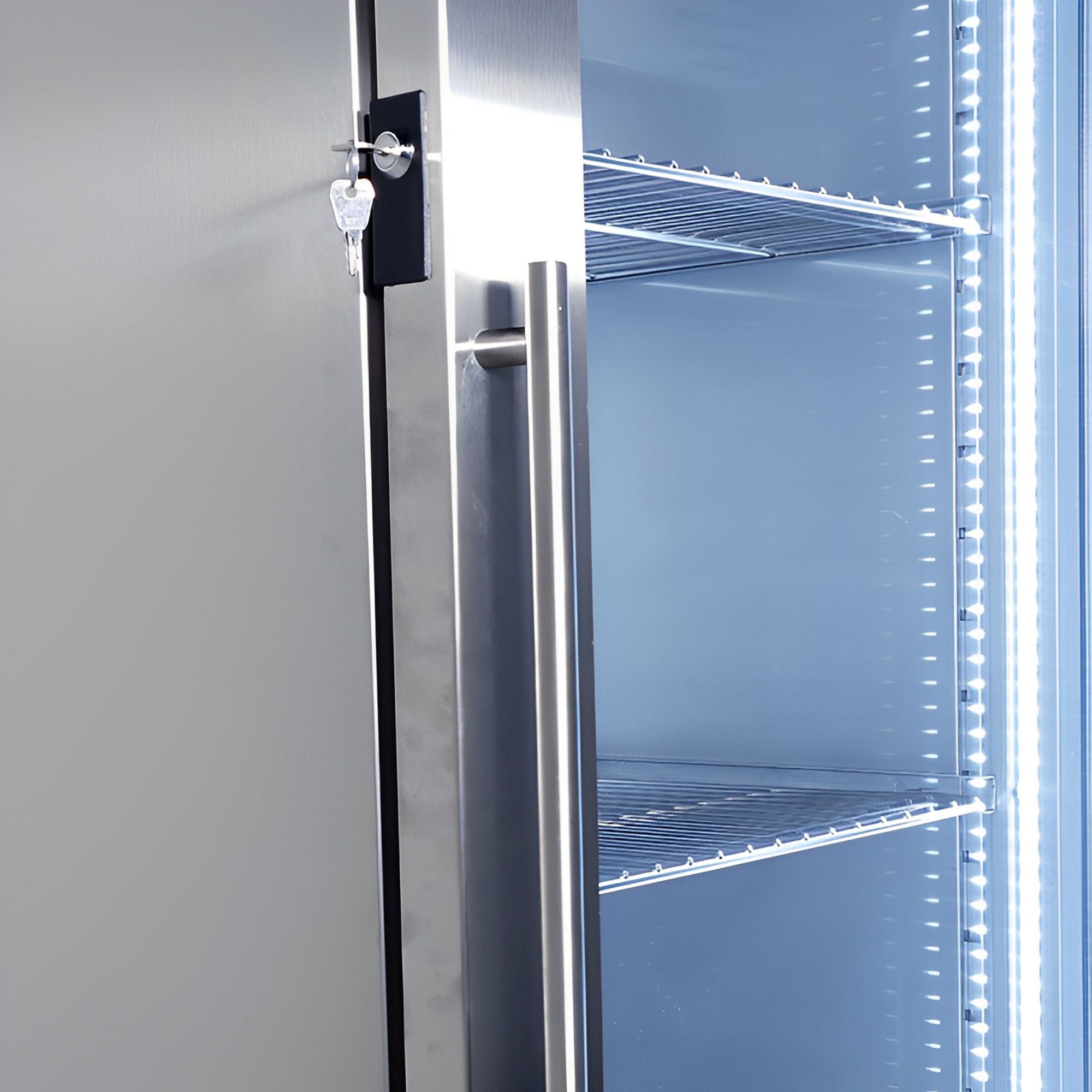 Meat Rack Lightng MBH - Meat dry-aging cabinet INOX 493 L glass door LED light restaurant
