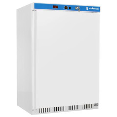 Congelador vertical industrial de 125 L