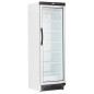 Congelador vertical industrial de 300 L con puerta de cristal