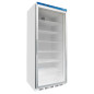 Industrial vertical freezer INOX 258 L with glass door