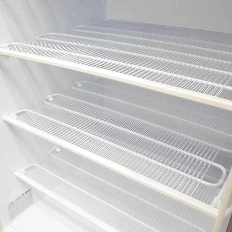 Industrial vertical freezer INOX 258 L with glass door