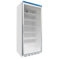 Industrial vertical freezer INOX 469 L with glass door