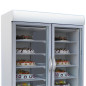 Industrial vertical freezers of 1078 L with 2 glass doors