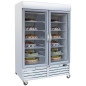Industrial vertical freezers of 1078 L with 2 glass doors