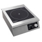 Professional induction plate 5000W