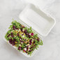 Boîte compostable en bagasse avec couvercle 228 mm (200 pcs.)