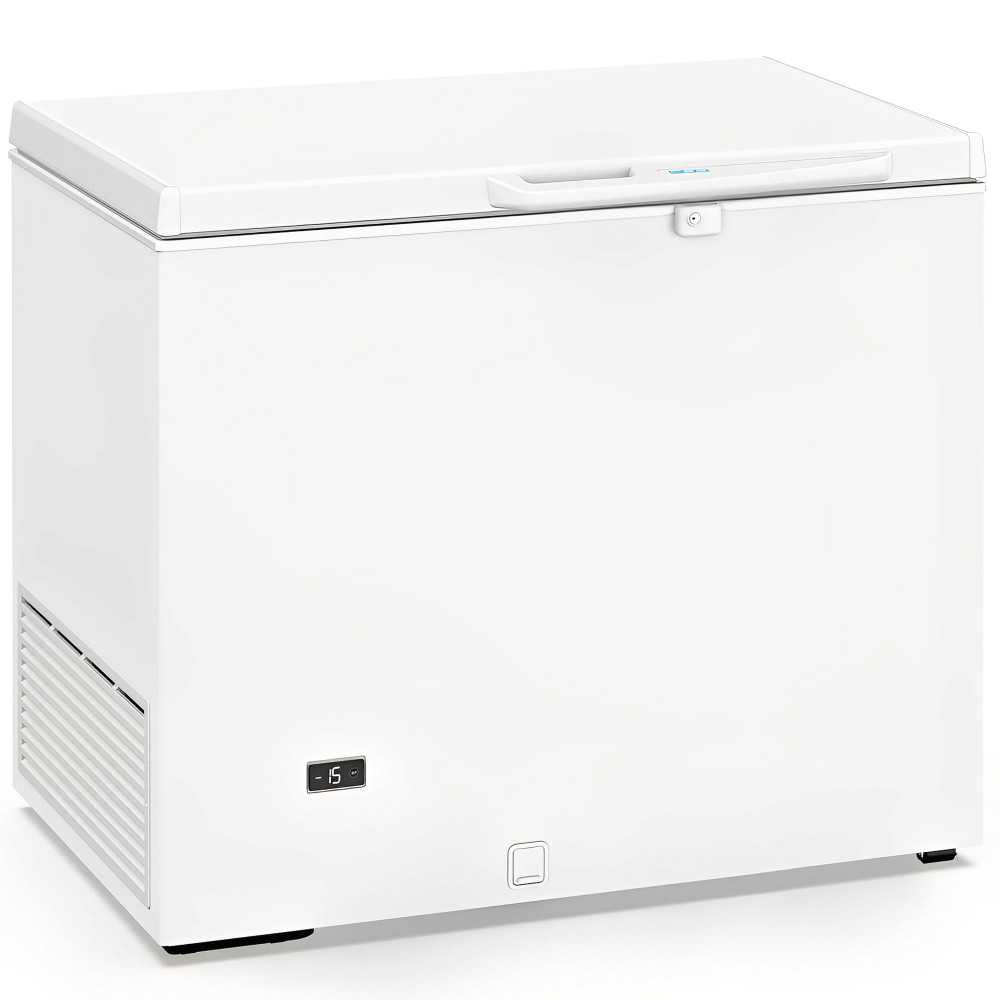 Bagul congelador industrial de 324 litres i 117 cm