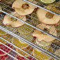 Déshydrateur professionnel INOX 10 plateaux 1000W restauration