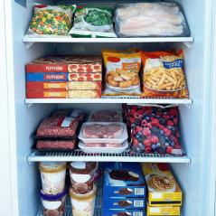 Worldmai 460 litre industrial freezer