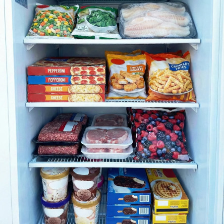 Worldmai 460 litre industrial freezer