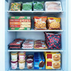 Worldmai 600 litre industrial freezer