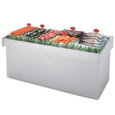 Table de présentation réfrigérée professionnelle pour poissons et fruits de mer