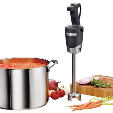 Professional mixer arm