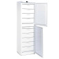 Congelador vertical professional de 2 portes amb 9 compartiments i 256 litres