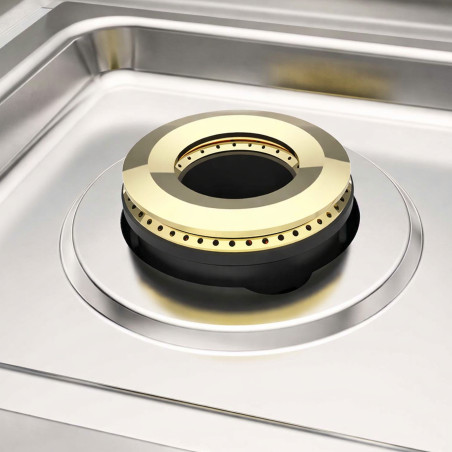 Cocina a gas profesional con horno de pie 550 2 fuegos Repagas