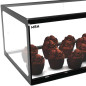 Glass non refrigerated single layer 120 cm display case for cakes and pastries. Display showcase