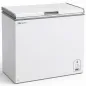 Worldmai 95 cm Commercial Chest Freezer for Food Service