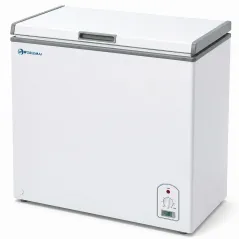 Congélateur coffre professionnel 200 litres Worldmai AC200-WM avec couvercle blanc pour restauration