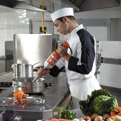 Professional SENIOR 350 W Immersion Blender for 40-Litre Containers