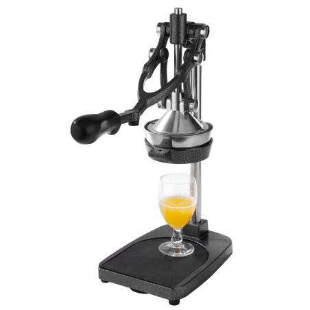 Multi-purpose cut potatoes, apples and juicer