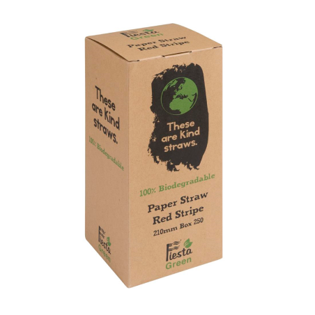 Pailles en papier compostables (Pack of 250)