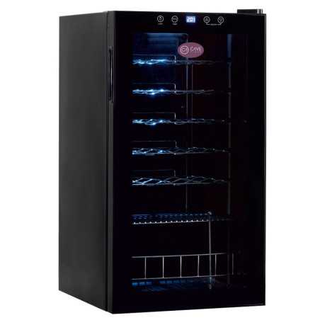 Small professional wine cellar